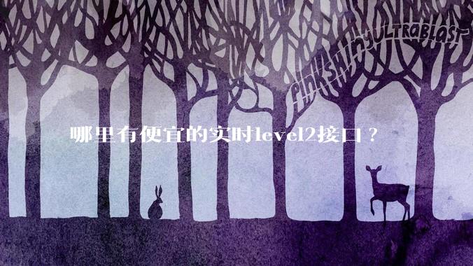 哪里有便宜的实时level2接口?