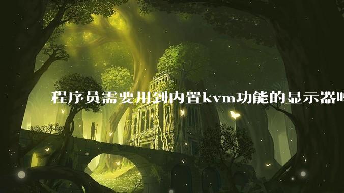 程序员需要用到内置kvm功能的显示器吗？或者是外置的kvm切换器吗？