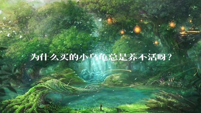 为什么买的小乌龟总是养不活呀？