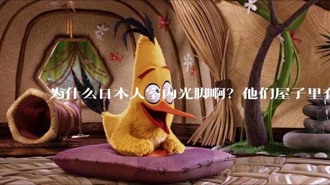 为什么日本人室内光脚啊？他们屋子里有这么干净吗？