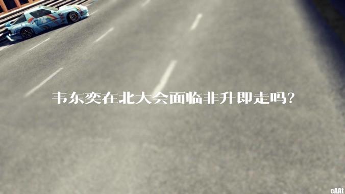 韦东奕在北大会面临非升即走吗？