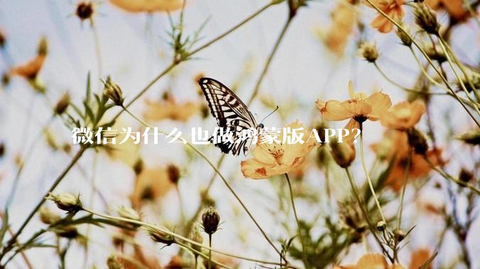 微信为什么也做鸿蒙版APP？